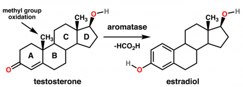 Estradiol - 2