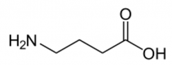 Gama-aminobutanová kyselina - 1