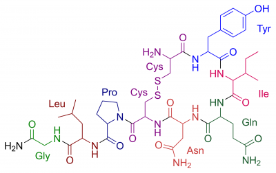 Oxytocin - 1